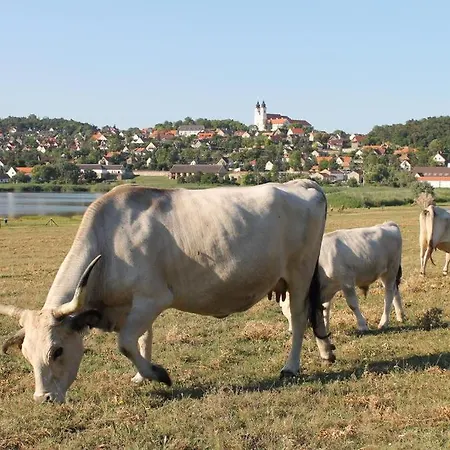 Napkelte 아파트 *